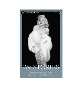 STYLE-CHNGR featured: TOP Stories on 1stdibs