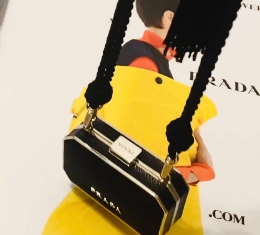 RARE PIECES: THE PERFECT MINAUDIÈRE from PRADA